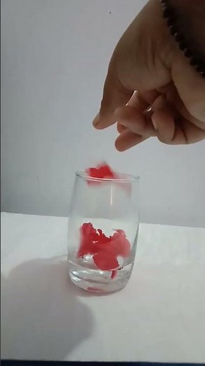 How to make acid base indicator using Hibiscus petals( China rose petals) #arsheducare #shorts