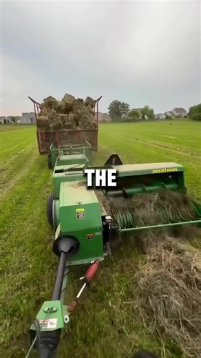 Olaf's Adorable Adventure at Disneyland Paris