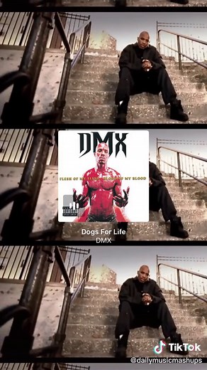 Daily Music Mashups on TikTok