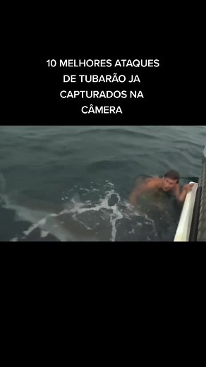 Os vídeos de reptilechannel (@reptilechannel) com som original - reptilechannel