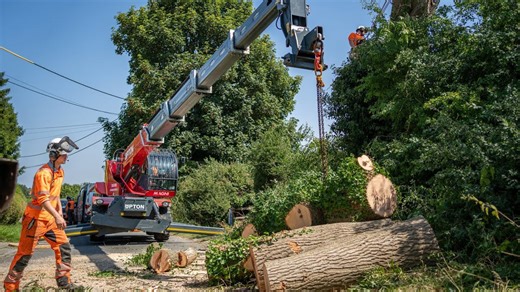 Tree felling with Magni RTH 630 telehandler