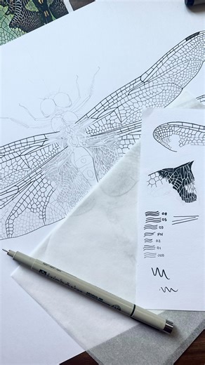 this is due tomorrow, it’s time to lock in 🙃 #scienceillustration #blacksaddlebagsdragonfly #scienceart #stippling #naturalscienceillustration #insectart #scientificillustration | Emma Nydam Artist