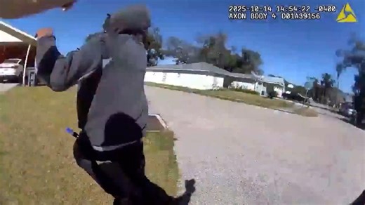 Tampa man throws loaded firearm at detectives, yells for mother during arrest: HCSO