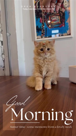 🐈✨ —— • January days at TASK HOME ⏰เปิดบริการทุกวัน Cafe ☕️ 10:00 AM - 06:00 PM BAR 🥃 06:00 PM - 00:00 AM Live Music 🎶 08:30 PM – 11:30 PM 🚘 Location : อยู่ซอยศาลเจ้า ตลาด 18 เมตร 📍 Map : https://maps.app.goo.gl/7bJMepqDwu7u8Wds8?g_st=ic 🏡: สามารถติดต่อจองโต๊ะได้ที่ https://liff.line.me/2000506138-kPbvNGbZ/taskhome #Taskhome #cafe #bar #คาเฟ่เพชรบุรี #เพชรบุรี