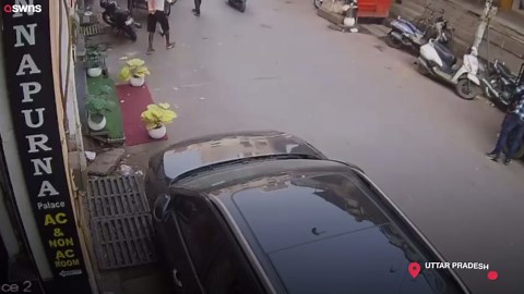 Affe zertrümmert Schiebedach eines Autos, nachdem er vom Dach gesprungen ist