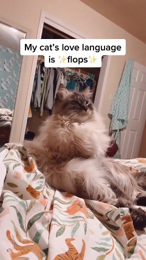 Understanding Cat Behavior: Why Do Cats Flop Over When Playing?