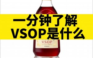 看完秒懂VSOP是什么