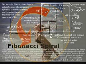 The Physics of the Fingerprint of God the Fibonacci Spiral Numbers