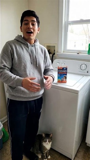 Rescue Cat Dad Shares His Honest IWOOFI Review 🐱