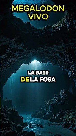 ¡El Megalodón Está Vivo! Científicos Capturan Evidencias Impactantes