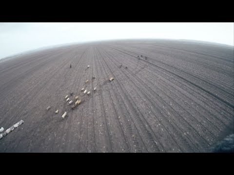 Pigman Mows Down 50 Hogs in 4 Minutes with the Beretta