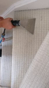 49 reactions · 13 shares | DIRTY CARPETS  ❌WANT THEM CLEANED ❌ Thinking of having your carpets or upholstery cleaned? please get in touch for a free quote 230+ 5* review The best equipment Carpets 70-90% dry Check out our page to see our recent work Mike 07594933838 | mycare carpet cleaning bristol | Facebook