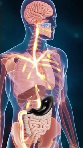 Medical 3D Animation Video #youtubeshorts #Medical 3D Animation Video