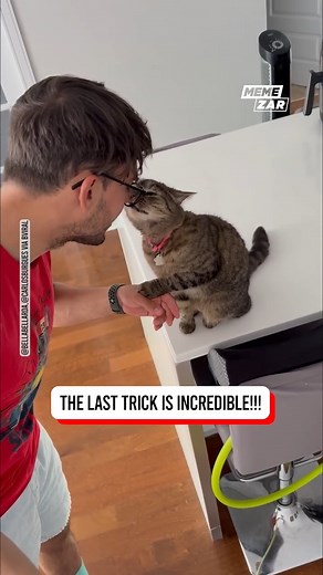 22K views · 123 reactions | This cat is full of tricks!  | Memezar | Facebook