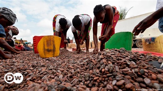 Ivory Coast combats child labor for chocolate