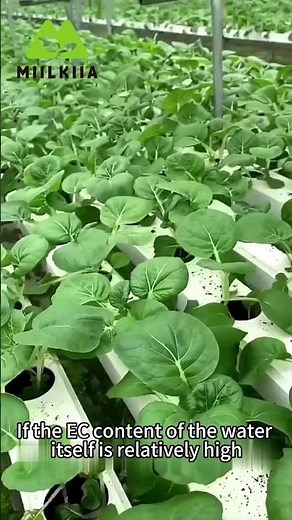 EC and pH Control in Hydroponics