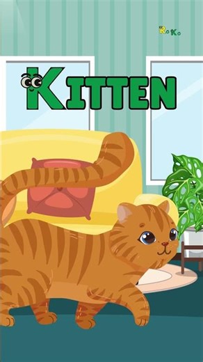 K is for kitten 👸🏻 Letter K song | ABC song for kids🎤✨ Learn Words That Start With K Fun ABC