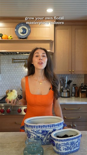 Now is the time to buy Fall Planted Flower Bulbs! 🌷 We are NOW shipping! | DutchGrown