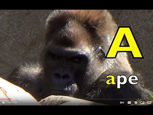 VOWEL SOUNDS SONG / Learn LONG & SHORT VOWELS AEIOU / Educational KIDS Video / SING-A-LONG