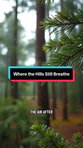 In Kerrville, Texas — the hills remember every story. 🌄 #TexasFacts #KerrvilleTexas #HillCountry #TexasHistory #HiddenTexas #GuadalupeRiver Keywords: Kerrville Texas history, Hill Country towns, Guadalupe River, Texas heritage, small-town nostalgia, Texas Hill Country