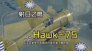 射日之鹰——记霍克75战斗机简史