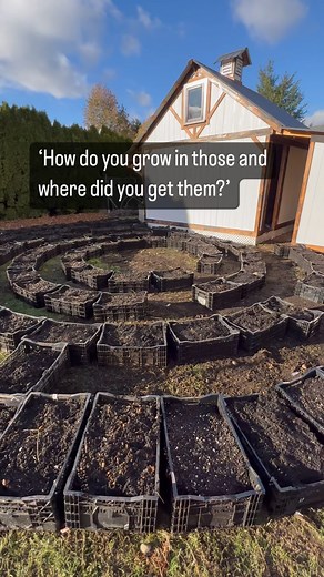 Galena Berkompas • Urban Flower Farm • Education on Instagram: "My number one question right now is where I got these so here’s how to get your hands on bulb crates! These are the standard container used for shipping bulbs, certain garden equipment and big wholesale orders. They’re incredibly sturdy and also stack on each other: I use them for bulbs, planting dahlias, storing dahlias, and loads of other things! First, depending on your area, they can be a bit hard to source. I was able to find a