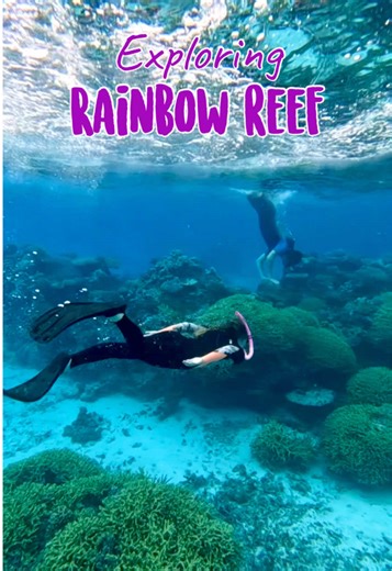 Rainbow Reef in Fiji is one of the most famous dive and snorkel spots in the world. It sits between the islands of Taveuni and Vanua Levu, and the water is crystal clear. The reef is full of colorful coral and so many different species of fish. It’s the most vibrant underwater ecosystem I’ve seen. #fiji #boatlife #snorkeling #reef #sailing