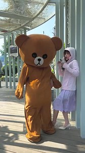 24K views · 722 reactions | Funny Bear  #funny #memes #meme #funnymemes #lol #dankmemes #comedy #fun #love #memesdaily #follow #like #humor #funnyvideos #instagram #instagood #lmao #dank #jokes #cute #explorepage #dailymemes #viral #laugh #edgymemes #bhfyp #memepage #funnymeme #offensivememes | Songsa | Facebook