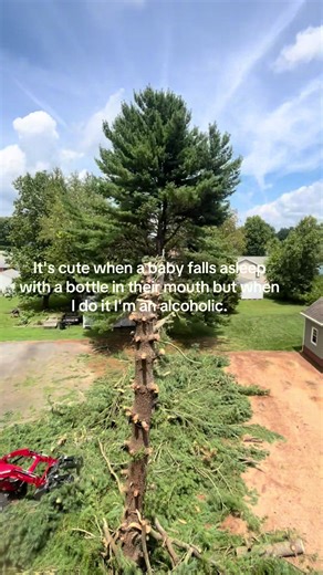 #callaokennelz #viral #fyp #digrigs🌾 #trending | baby sleeping