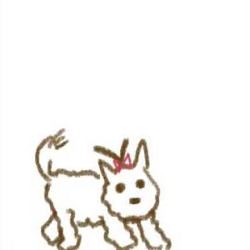 dog animation