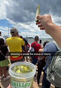 pickle tourism pt. 2 | pickles