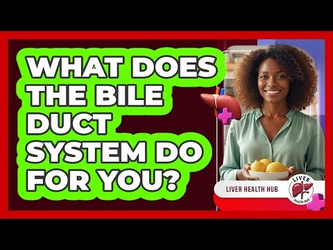 What Does The Bile Duct System Do For You?