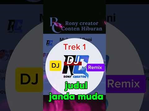 🎵 DJ REMIX 🔥janda muda