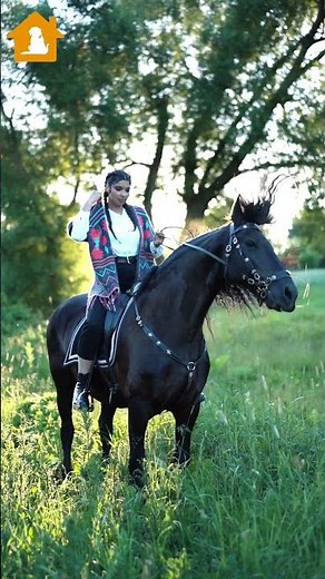 A Man Riding on Horse 🐎 | How This Man Riding A Horse Captivated Our Attention | Pets Guideline