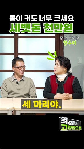 손주가 세 마리야 #최성훈의고향앞으로