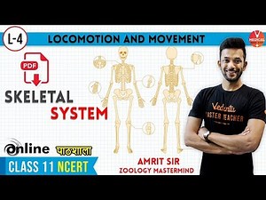 Super Easy Way | Learn Skeletal System | Locomotion and Movement L-4 | Class 11 Biology Chapter 20
