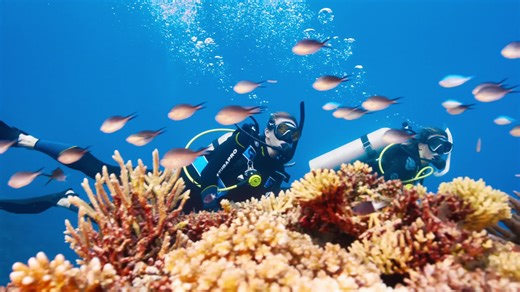 Celebrating 60 Years of PADI Diving Community