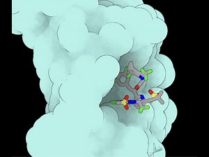 Lenacapavir - HIV capsid protein