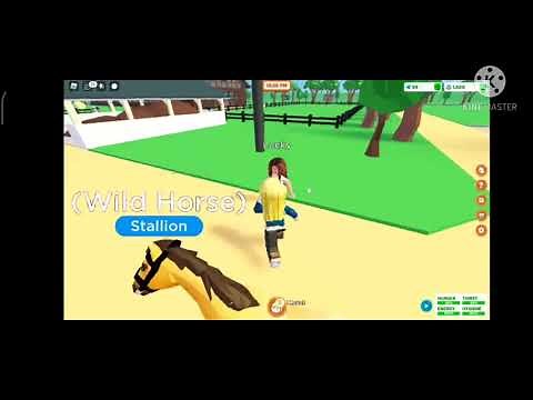 How to get Spirit in horse valley!