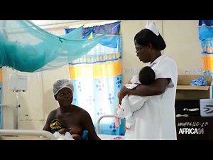 Ghana : l’Anopheles stephensi, le nouveau moustique vecteur du paludisme identifié