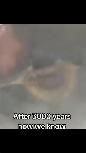 3000 years have passed now we know ancient civilization#ancient #fyp #artifact #ancientcivilizations #screammovie