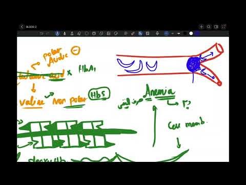 2- Abnormal types of hemoglobin - By Dr. Mohamad Salama