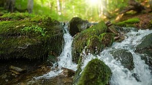 Small Mountain River Crystal Clear Water Stock Footage Video (100% Royalty-free) 1058600659 | Shutterstock