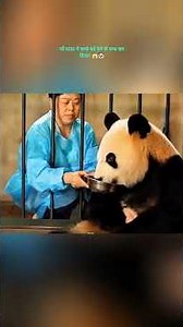 Mother Panda Refused to Let Go of Her Baby! 😱🐼|#shorts