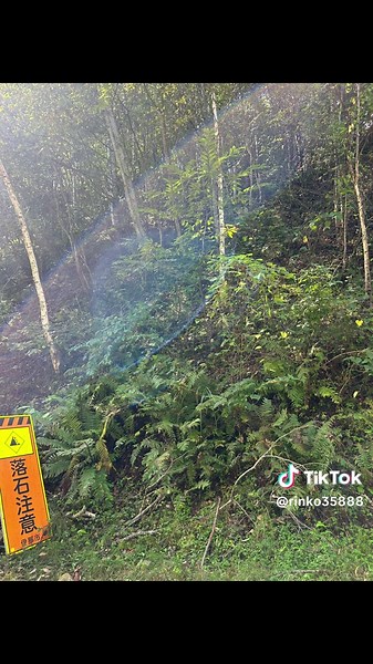 日本三大パワースポット (分杭峠/富士山/石川県の珠洲岬) その1つである長野県の ゼロ磁場【分杭峠】 こちらにある氣場は3ヶ所。 今回はその内の2ヶ所の投稿です。 ☆2氣場 裏氣場である水場(沢) ☆3氣場 プラーナ零磁場 ☆1氣場(表氣場/あの木製ベンチで有名な場所) は、次回の投稿になります。 画面越になりますが、皆様にも ゼロ磁場の氣を受け取っていただければと思います。 分杭峠へは、南アルプス長谷戸台パーク(仙流荘)からのシャトルバスになります。 バスの運行期間は4月〜11月か12月。詳しくは、南アルプス林道バスの運行ダイヤを検索していただければと思います。 ※行かれる際は、落石や倒木の危険もあるので「自己責任」であることも理解した上で行かれて下さいね。(現地にこの様な内容の注意書きもあります) 日本最大級の断層である 中央構造線の真上にある分杭峠。 断層がお互い押し合う力によって【ゼロ磁場】 が出来ます。 余談ですが、中央構造線上には重要とされる聖地やパワースポットが多く点在するので、参考までにあげておきますね。 鹿島神宮 / 諏訪大社 鳳来寺山 / 伊勢神宮 吉野 / 高野