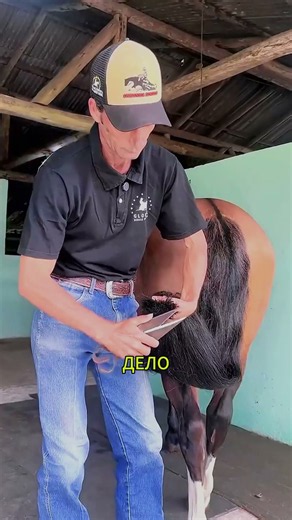 Why do horses need their tails trimmed? 🐴✂️