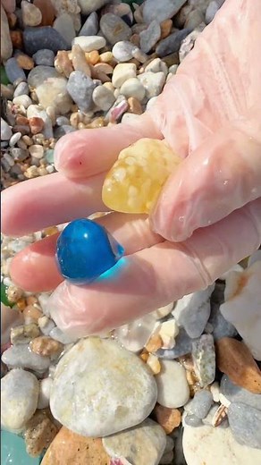 Giant Pearl Scallops vs. Freshwater Snails: Which Makes More Pearls?