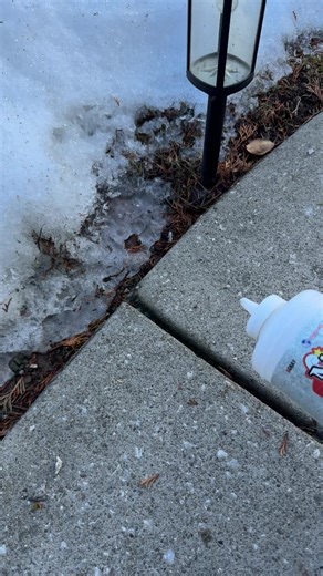 DIY Sidewalk Repair: Filling Cracks with Magic Crack Filler