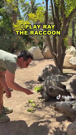 Mating Season Netflix — Ray the Raccoon & the Animal Dating Comedy