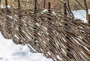 How to Build a Sturdy Wattle Fence with Tree Branches
